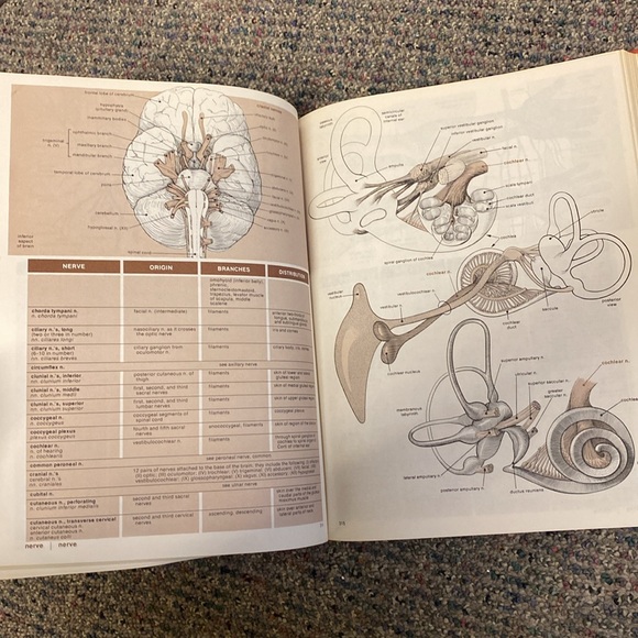 Vintage antique hardcover medical book - timeless resource and cool collectible - Picture 7 of 7